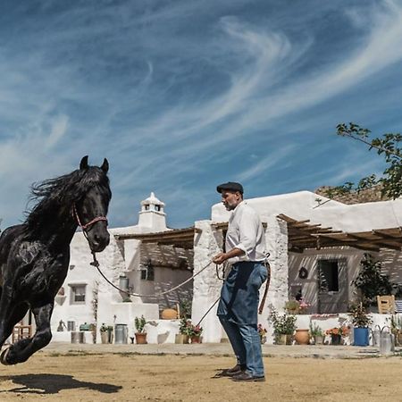 Rizes Mykonos - Folklore Farmstead Mykonos Town Εξωτερικό φωτογραφία