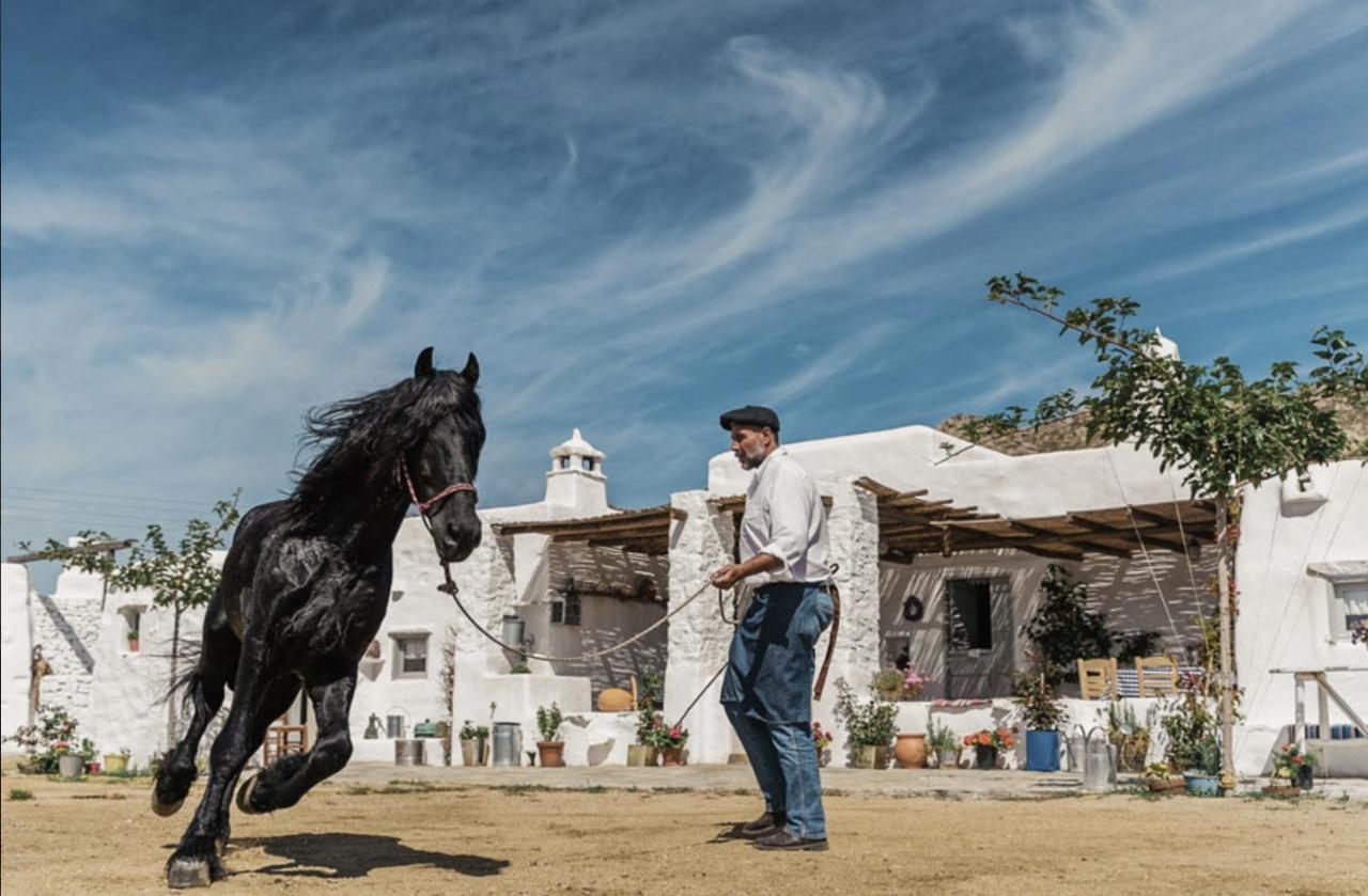 Rizes Mykonos - Folklore Farmstead Mykonos Town Εξωτερικό φωτογραφία